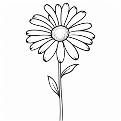 long stemmed daisy