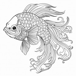 fighter fish with ornate patterns
