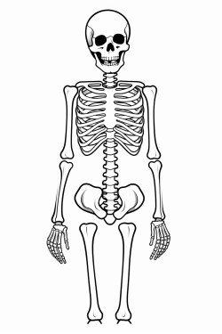 cartoon skeleton taking xray