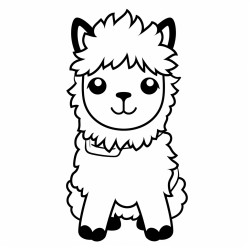 alpaca black and white