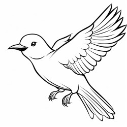 bird lifts wings