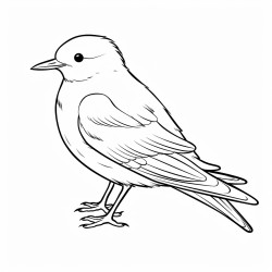a cute icelandic arctic tern