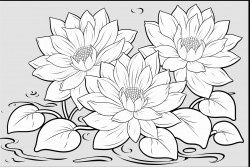 to create a coloring book