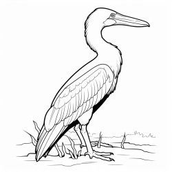 kids coloring page with cormorant black and white simple line art style minimalist drawing white background style raw