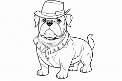 an english bulldog dressed as a pilgrim with a thanksgiving hat