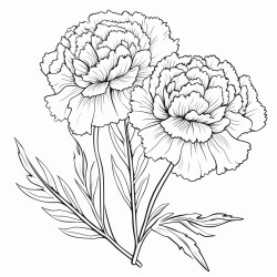 cockscomb flower