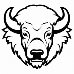 bison face mask