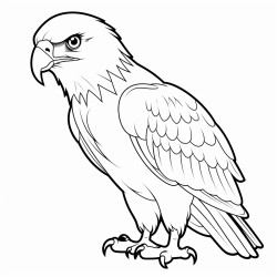 a cute eagle tengssuun  coloring bookvector white background black and white black drawing