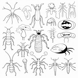 evolution and diversity of non living organisms including a bacteriophage