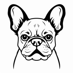 portrait of a french bulldog face with tongue showing black patches on its eyes