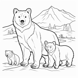 osos
