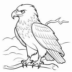 a cute eagle tengssuun  coloring bookvector white background black and white black drawing