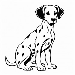 dalmatian