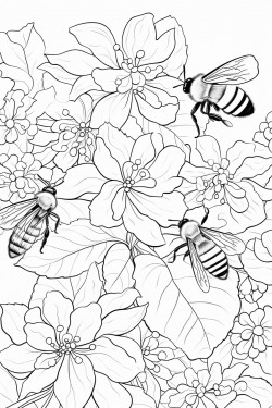 honey bees buzz among the hydrangea flowers