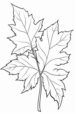 leaves