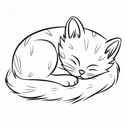 cat sleeping