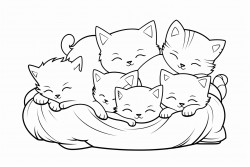 six kittens playing and sleeping