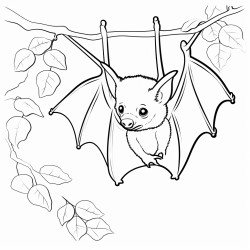 fiji bat hanging from tree