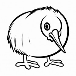 kiwi bird
