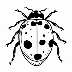 create a lady bug in the grass color by fractions coloring sheets for middle school