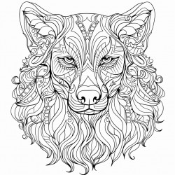 el perro de la imagen