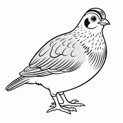 a cute icelandic partridge