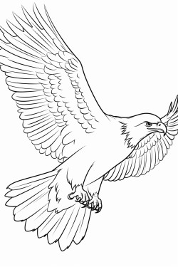 black and white image of flying bird for coloring book