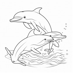 dolphins