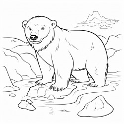 ice