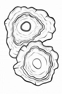geode