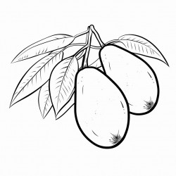 mango