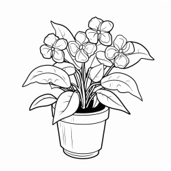 plants