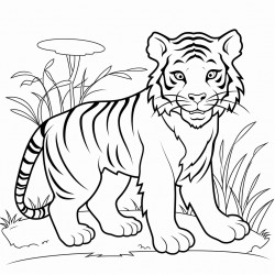 tiger