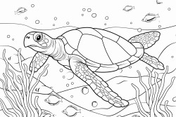 coloring page with a friendly sea turtle in front of corals and fishes with less black items