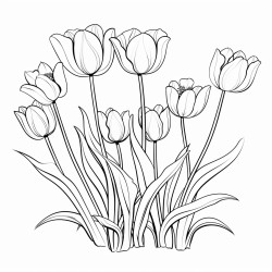 a garden of tulips in various colors