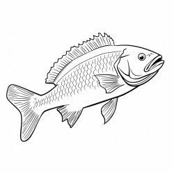 louisiana red drum