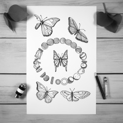 life cycle