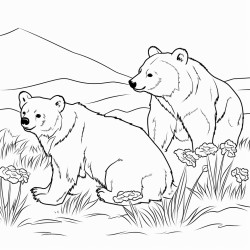 bears grazing