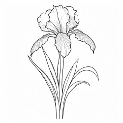 one single long stemmed iris