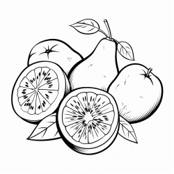 watermelon oranges and kiwi fruits