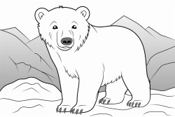 a young polar bear