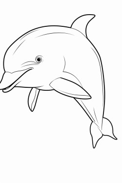 dolphin