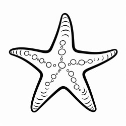 kids coloring page with sea star black and white simple line art style minimalist drawing white background style raw