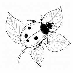 ladybug