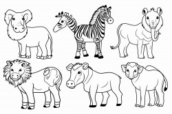 animal