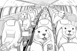 100 otters on board a plane