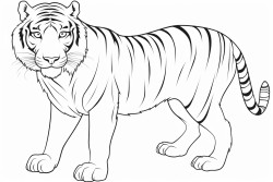 faz um desenho de um tigre e um garotinho do lado do tigre