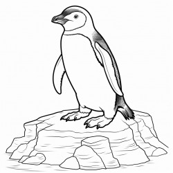 pinguinoa