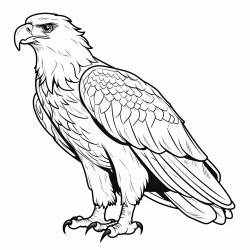 a cute eagle tengssuun  coloring bookvector white background black and white black drawing