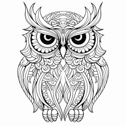 owl